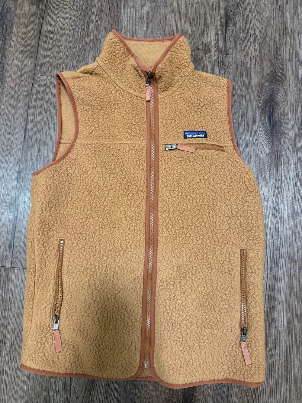 Patagonia Retro Pile Vest